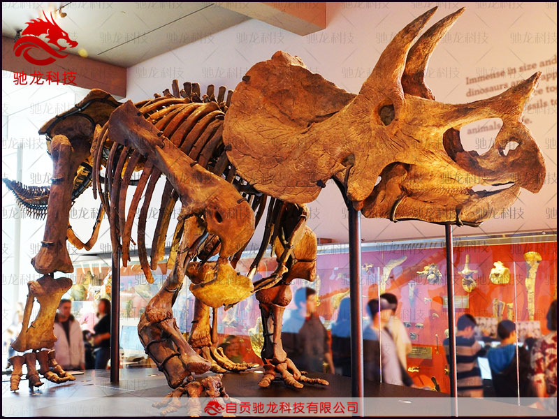仿真恐龍三角龍模型Triceratops