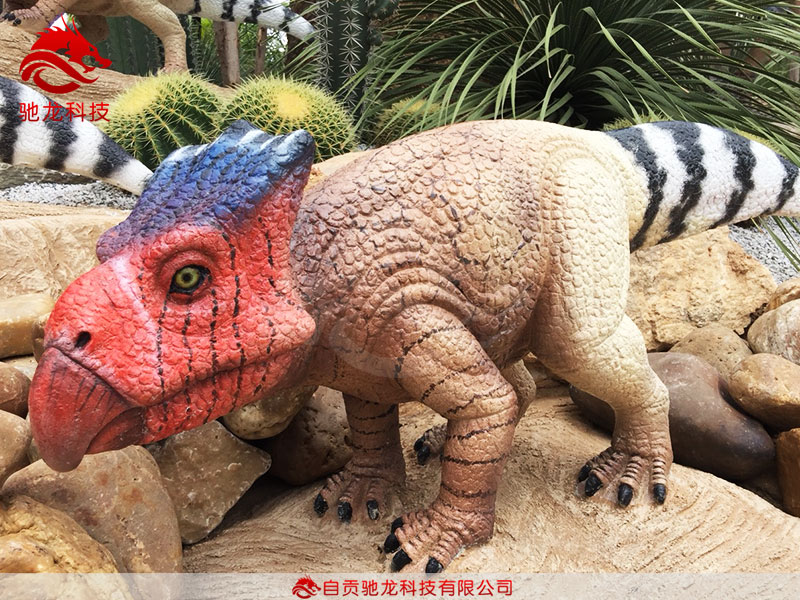 仿真恐龍弱角龍Bagaceratops