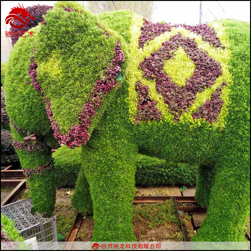 四川綠雕制作-樓盤草坪大象草雕